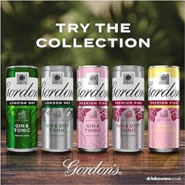 Gordon'S Gin Tonic Can 330Ml